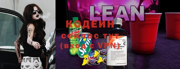 ECSTASY Белокуриха