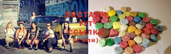 ECSTASY Белокуриха